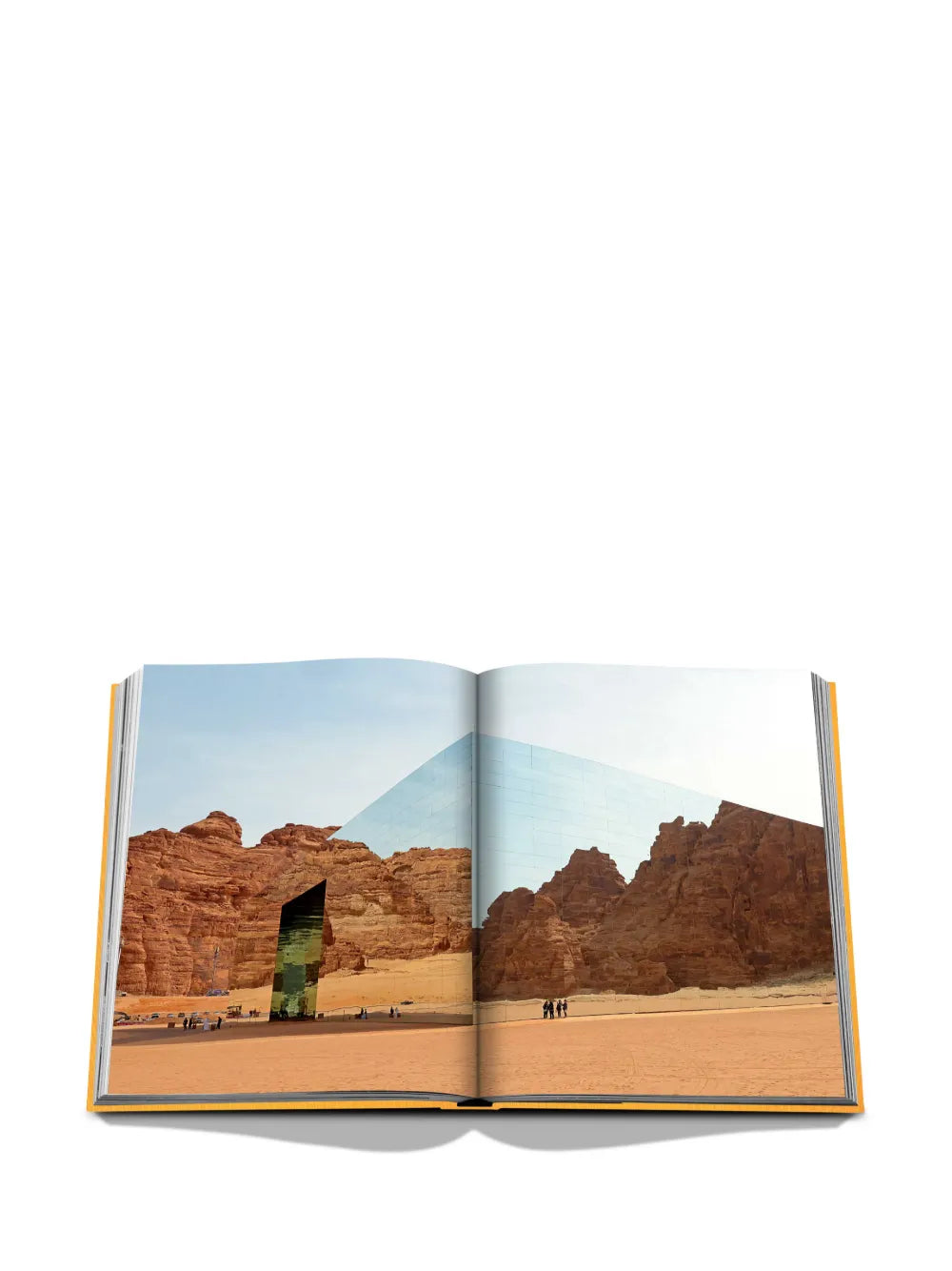 Livro Alula Ever Assouline