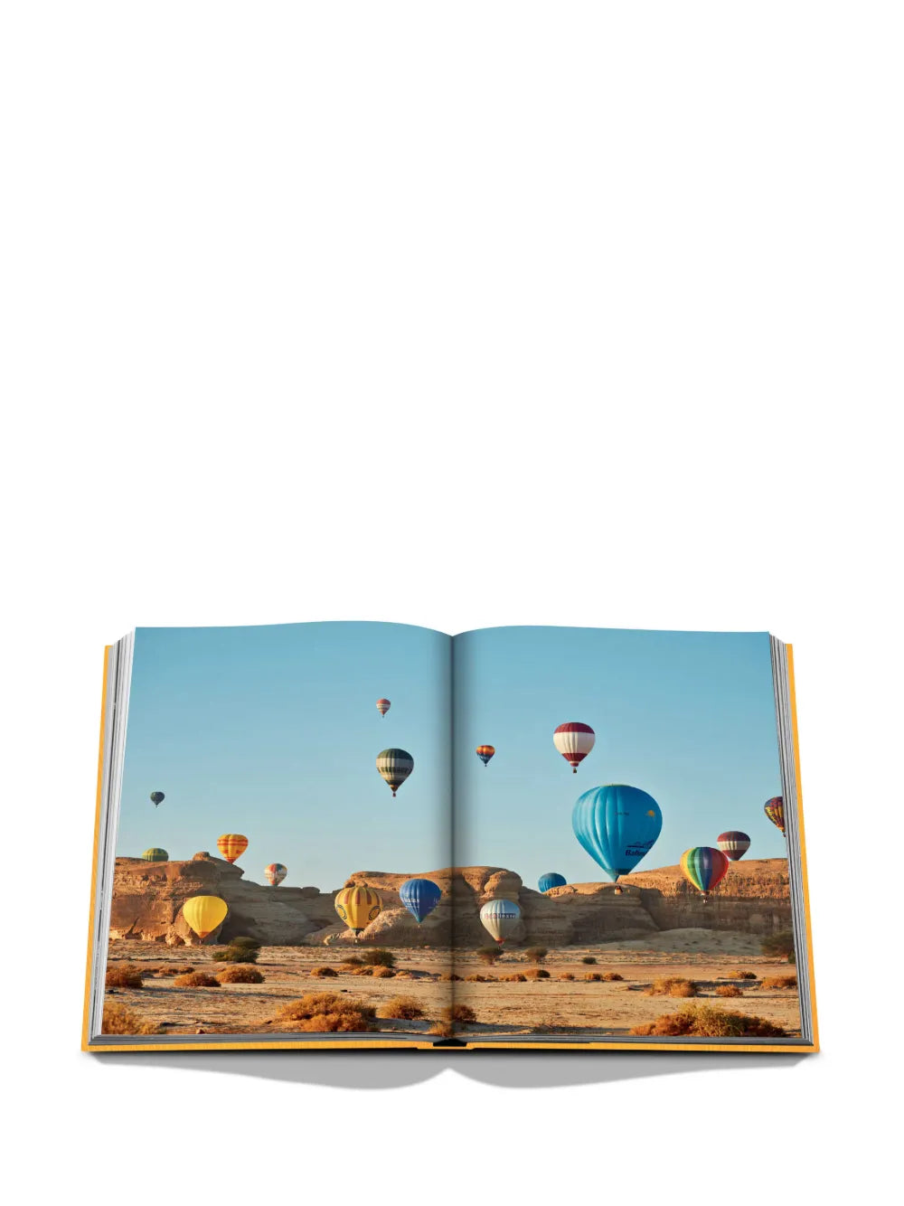 Livro Alula Ever Assouline
