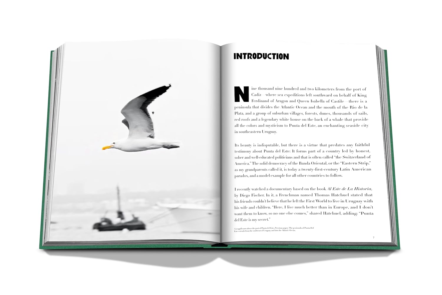 Livro Punta Del Este Assouline