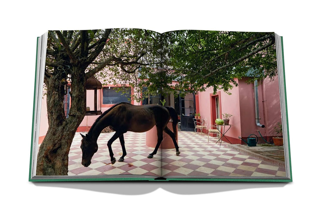 Livro Punta Del Este Assouline