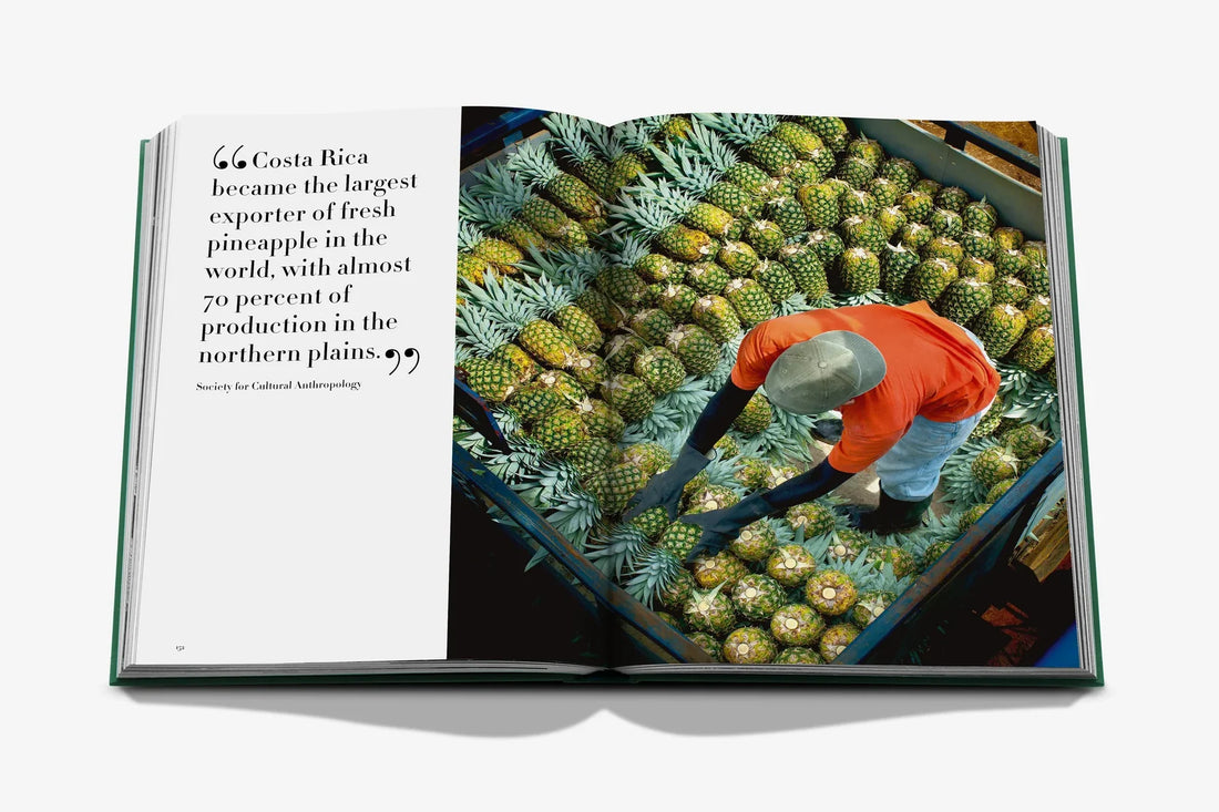 Livro Costa Rica Vida Lale Assouline
