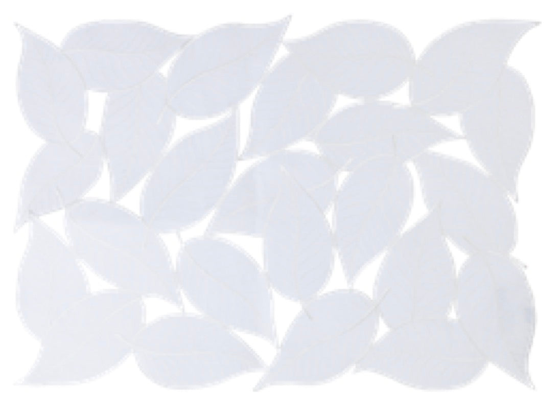 Jogo Americano Foliage Branco C/ Bordado Branco 35Cmx50cm